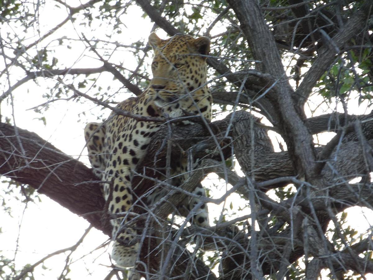 Aloegrove Safari Lodge Otjiwarongo Exterior foto