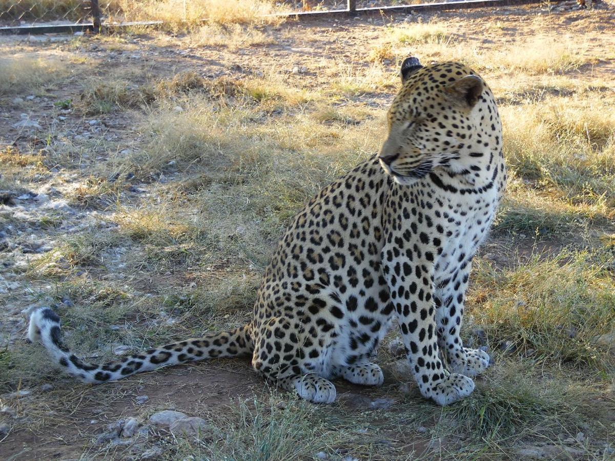 Aloegrove Safari Lodge Otjiwarongo Exterior foto